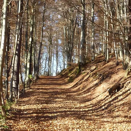 Appartamento Haus Harter