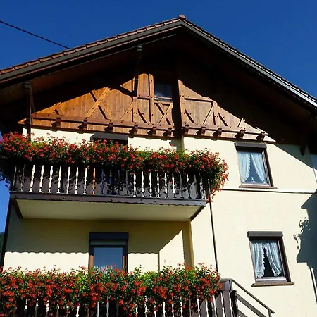 Apartment Haus Harter Wolfach