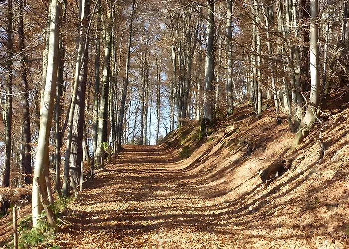 Апартаменты Haus Harter