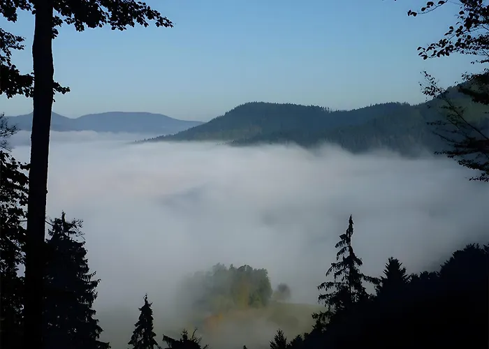 Apartamento Haus Harter *